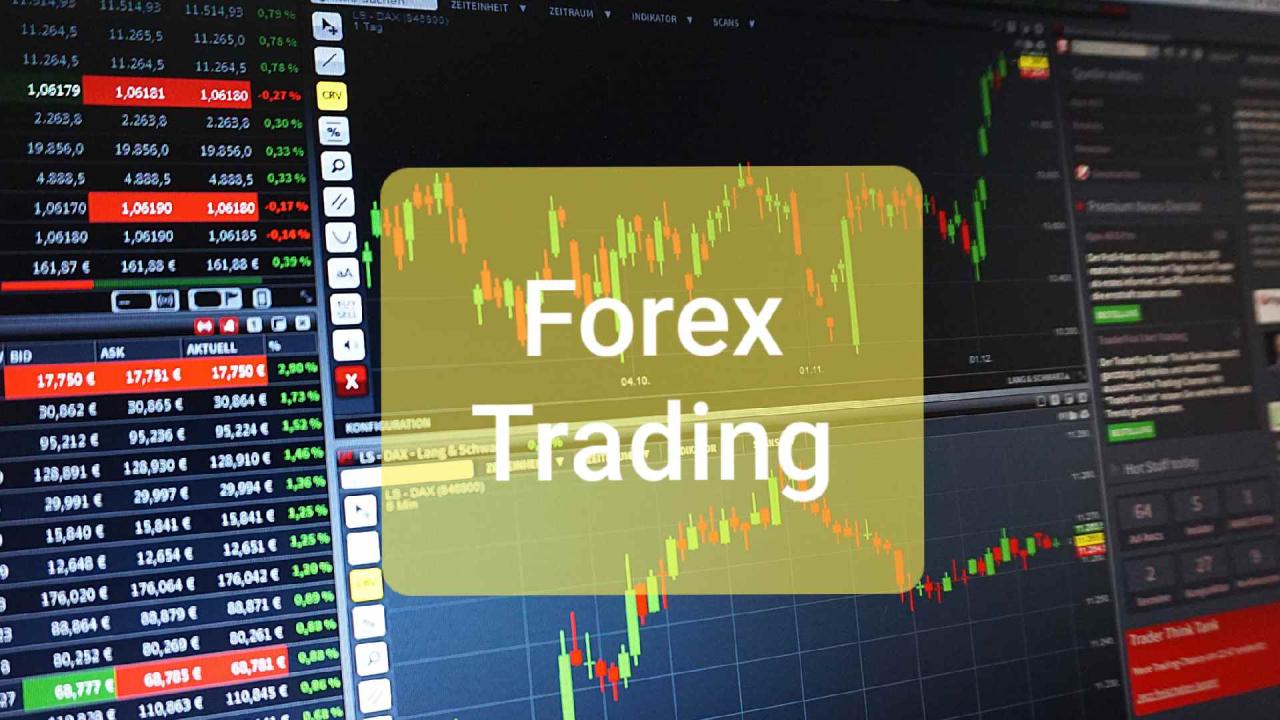 Forex beginners broker beginner