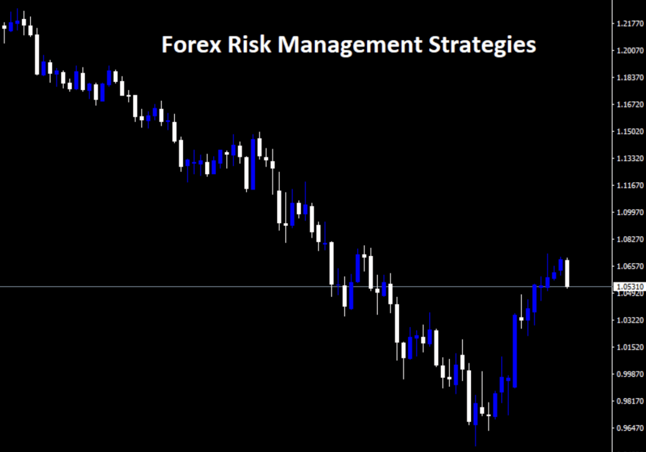 Detailed guide to spot forex trading strategies and risk management