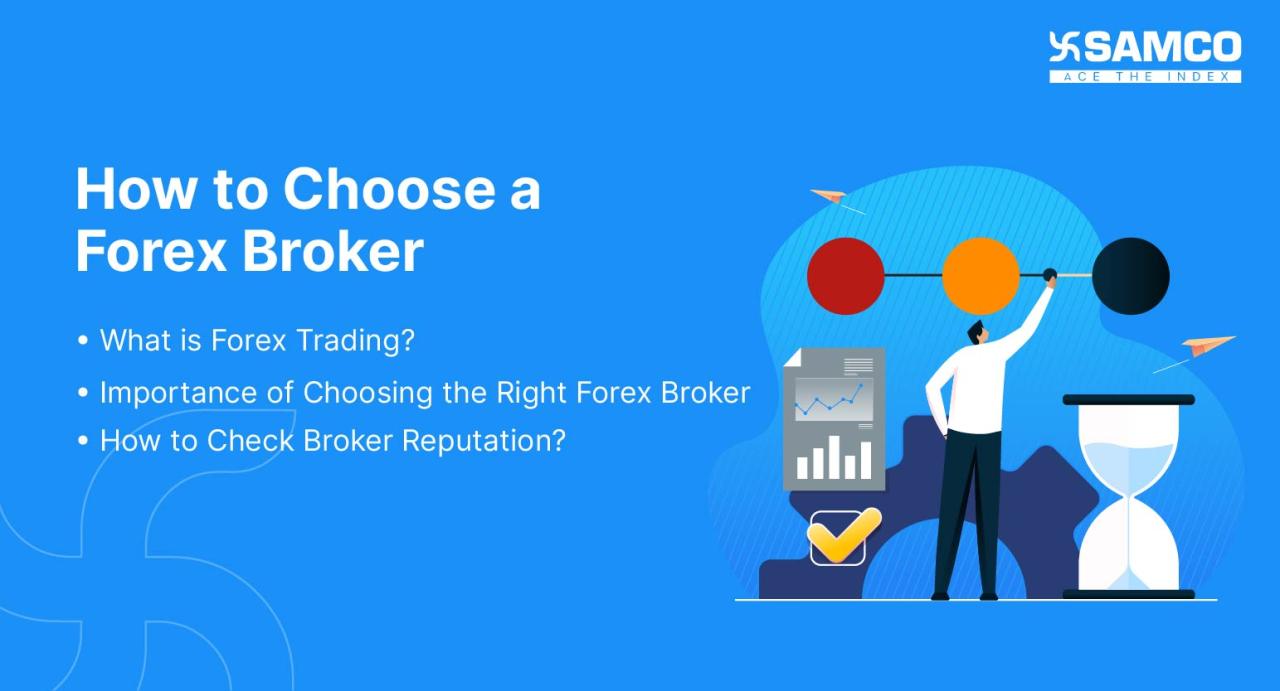 Brokers forex