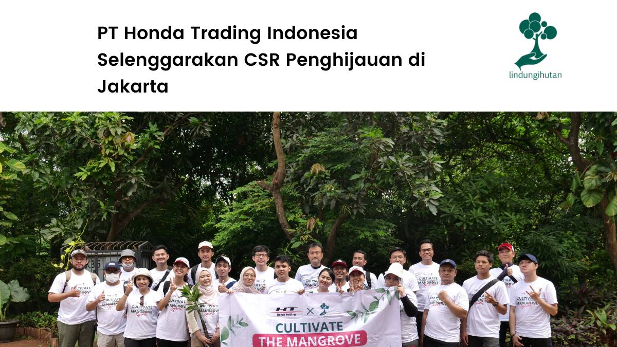 Sekilas tentang perusahaan PT Trading Indonesia