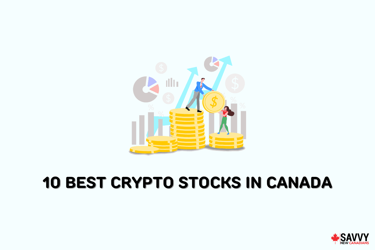 Understanding cryptologic stocks and their potential for growth in Canada.