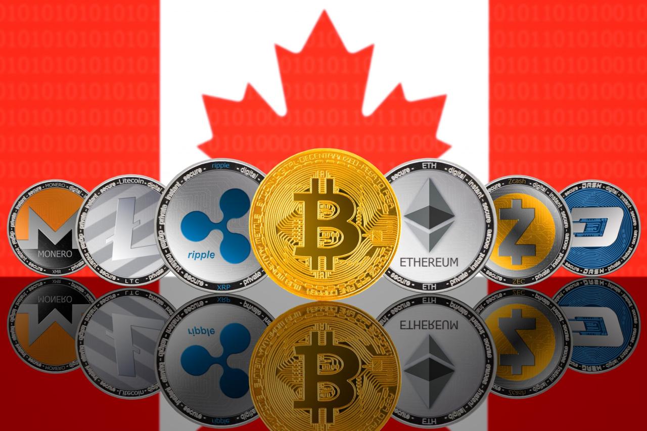 Top performing cryptocurrencies to buy now for short-term gains in Canada.