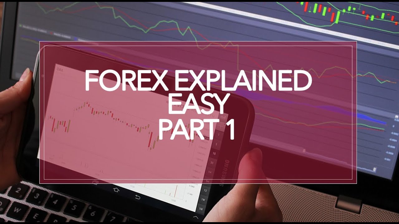 Forex beginners trader beginner