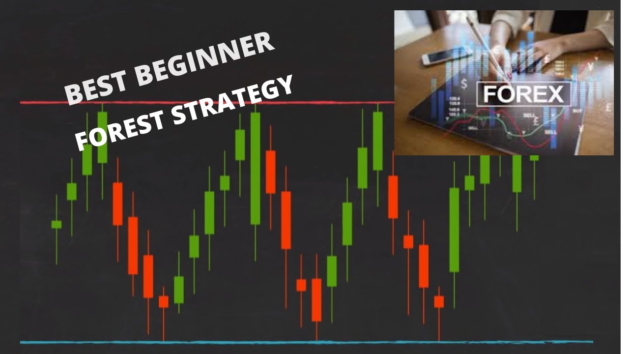 Mengenal berbagai jenis strategi trading forex yang populer