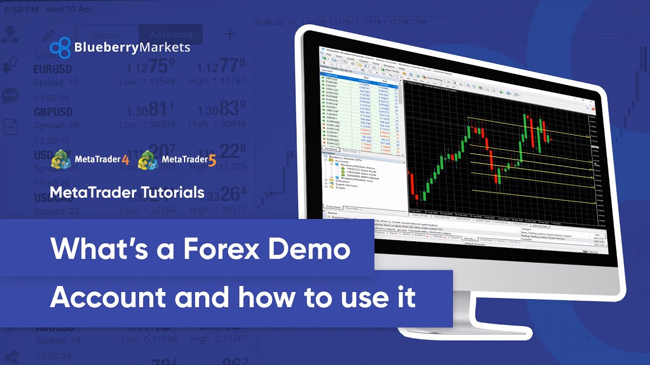 Forex beginners broker beginner